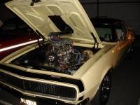 Select Image to Enlarge