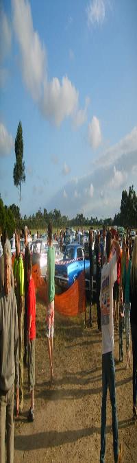 Select Image to Enlarge