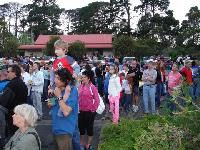 Select Image to Enlarge