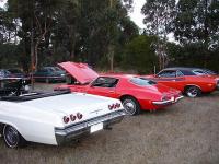 Select Image to Enlarge