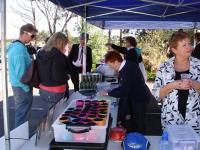 Select Image to Enlarge