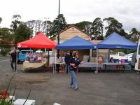 Select Image to Enlarge