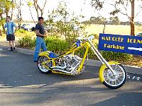 Select Image to Enlarge