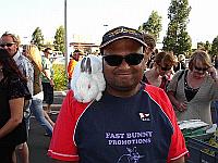 Select Image to Enlarge