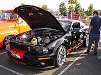 Select Image to Enlarge