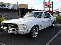 Select Image to Enlarge