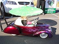 Select Image to Enlarge