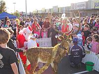 Select Image to Enlarge