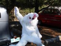 Select Image to Enlarge