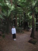 Select Image to Enlarge