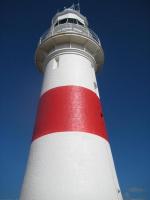 Select Image to Enlarge