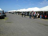 Select Image to Enlarge